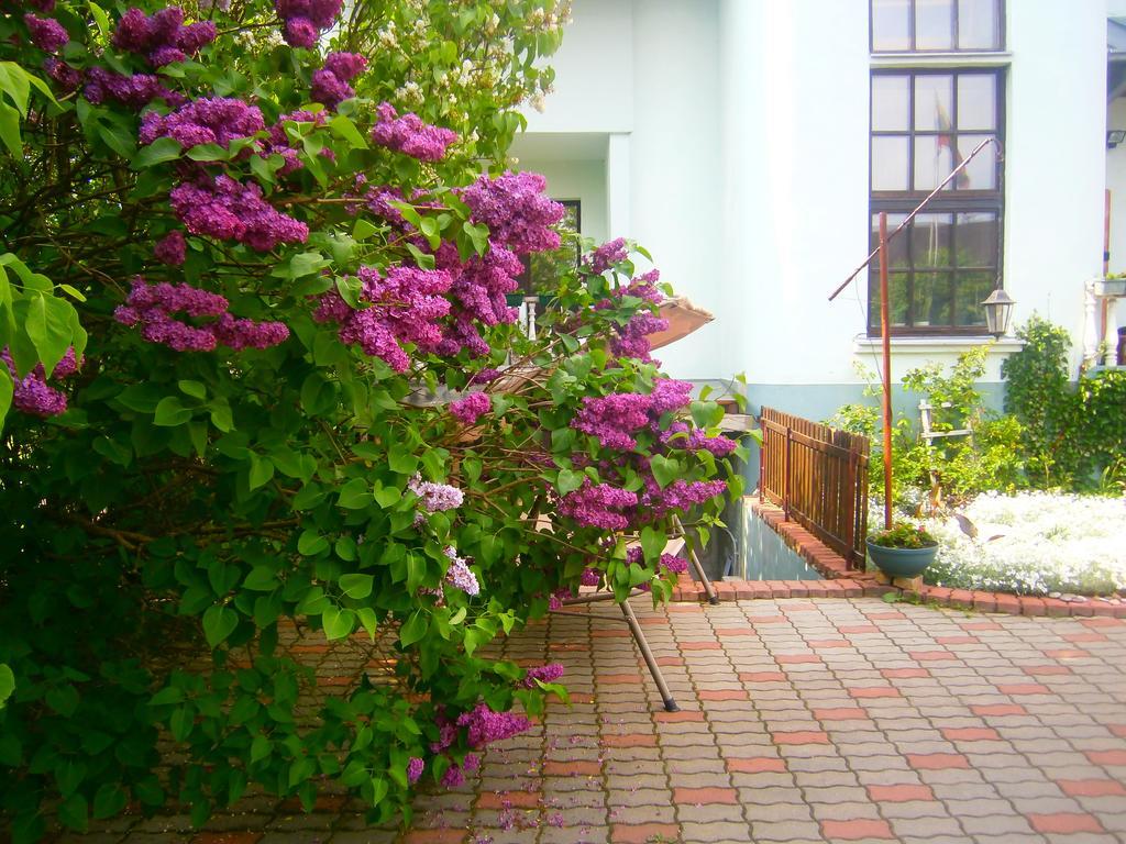 Nemunas Tour Residence Ringaudai Esterno foto